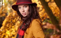 bt天堂网.www在线资源